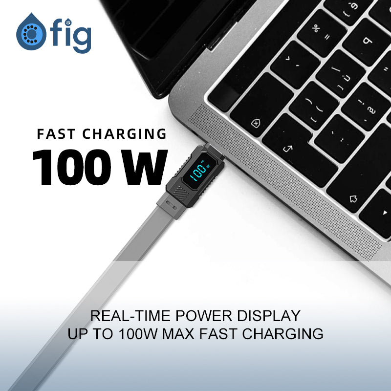 Fig Display Fast Charge Cable Type C to Type C