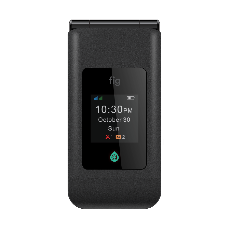 Fig Mini II