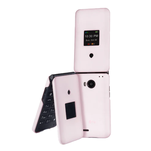 Fig Flip II Protective Case